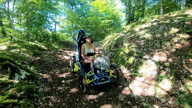 Sports 360 : location de Quadrix, fauteuils tout-terrain adaptés