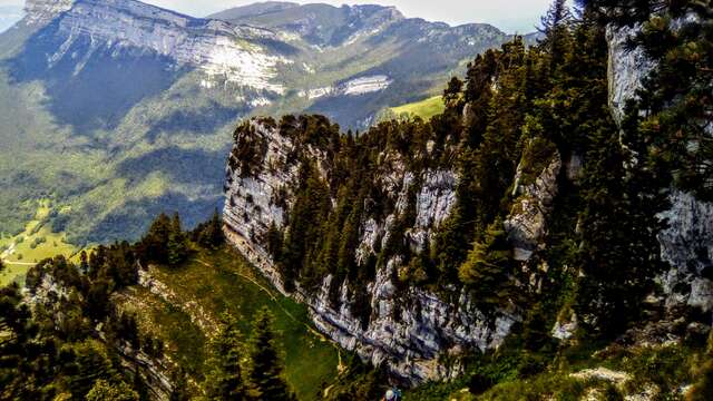 Randonnée accompagnée en Chartreuse et ses alentours