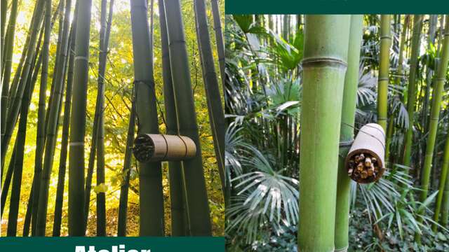 Atelier Biodiversité à la Bambouseraie en Cévennes