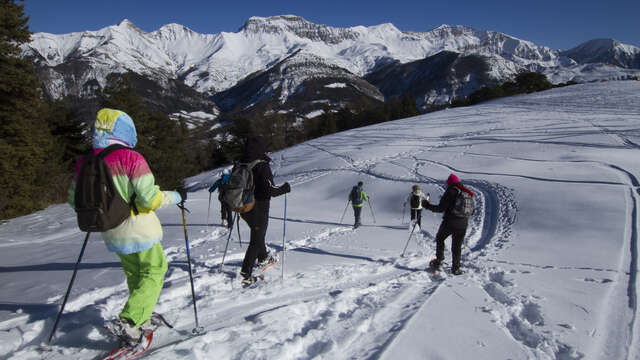 Balade Forestière - Facile 5km A/R