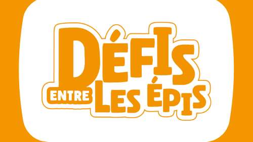 Pop Corn Labyrinthe : défis entre les épis