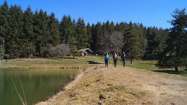 GRP® Terre de Tisseurs en Forez : Boucle La Tour Matagrin