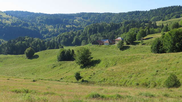 Rencontre à l'alpage de la Cluse : visite guidée