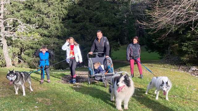 Cani-sulky pour les tout-petits