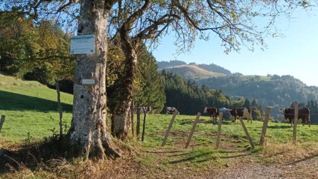 Parcours VTT des Granges Vigny