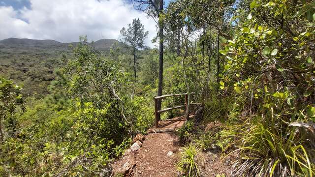 Sentier du Millénaire au Mont Goumba