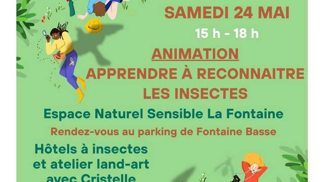 Comment reconnaît-on un insecte ?