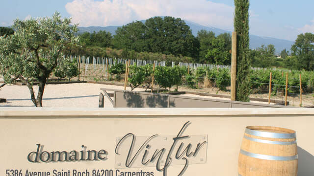 Guided tour of the vineyard and cellar - Domaine Vintur