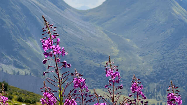 Col de Tricot