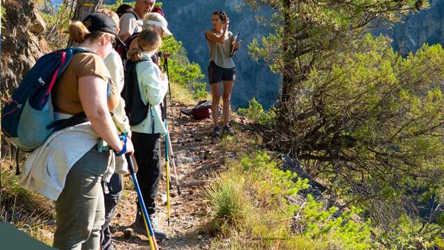 L'amour du risque ! Journée de la résilience ( Les demoiselles coiffées de Théus )