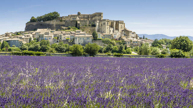 Les châteaux de la Drôme Provençale (itinéraire n°11)