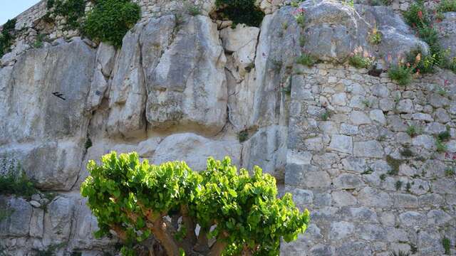 Jardin des Herbes - Jardin communal classé "Remarquable"