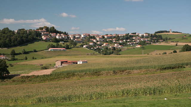 Circuit panoramique
