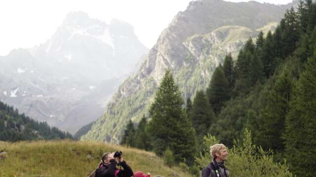 La Réserve de Ristolas Mont Viso au petit jour