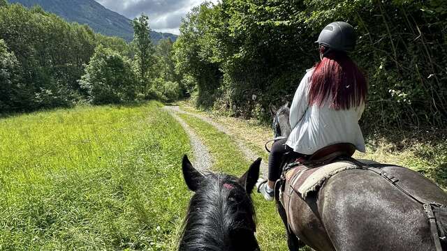 Balade à cheval au coucher du soleil