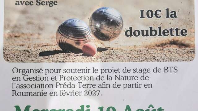 Concours de pétanque