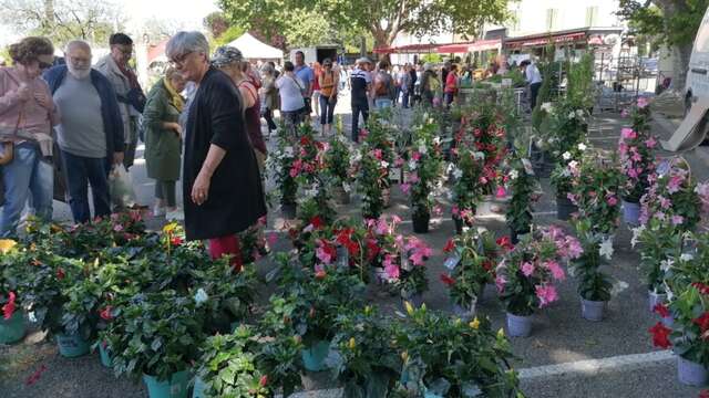 Les Fleuralies