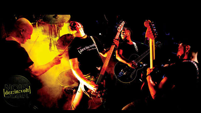 De:zin:volt - Festival Improbable