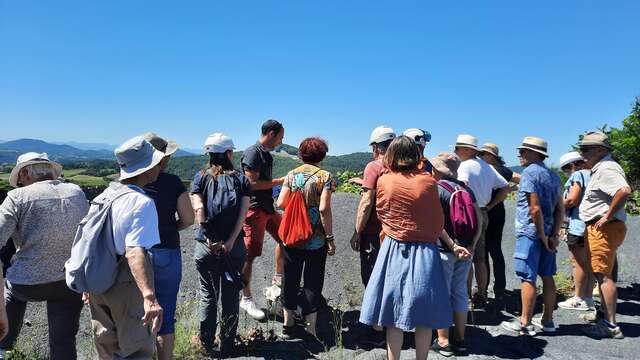 Pierres volcaniques, banditisme et bon usage des petites herbes