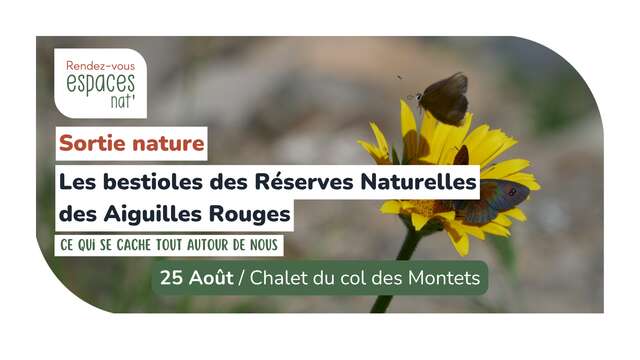 Nature Outing - The Creatures of the Aiguilles Rouges Nature Reserves