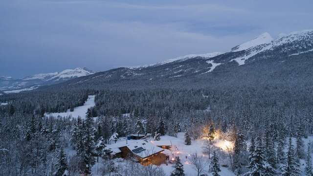 Sur les traces du loup au Clariant, avec PIED VERT