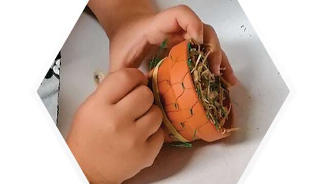 Workshop "Making an insect nesting box"