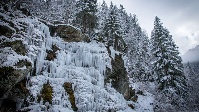Séance de découverte de l'escalade sur glace