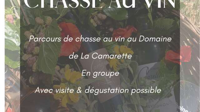 L'aventure de la Chasse au Vin au domaine de La Camarette