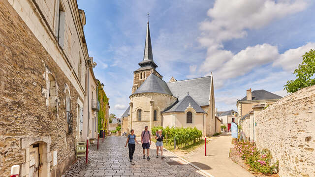 Sur les coteaux de Savennières