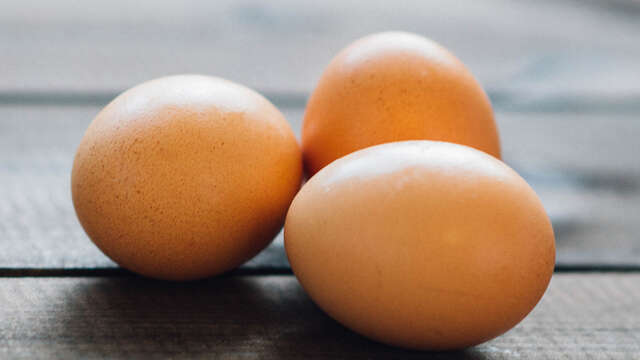 L'Oeuf bio de Corrençon