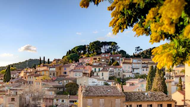Village de Bormes les Mimosas