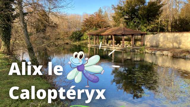 Interactive treasure hunt "Alix the Calopteryx