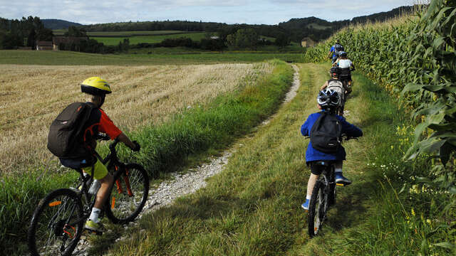 MTB trail n° 21 - The pastures