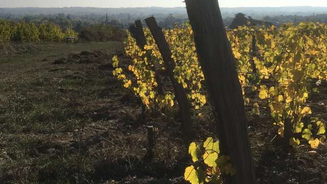 Accord Exquis at Domaine du Closel