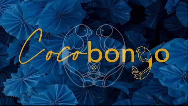 Coco Bongo