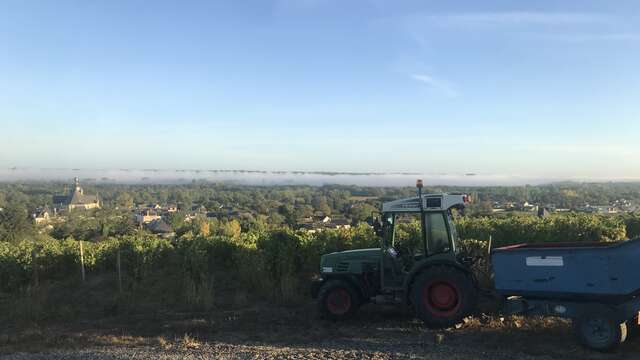 Domaine Cady