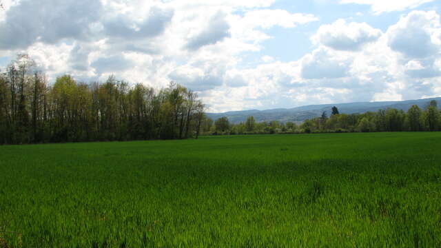 Les Piars, Champs, la Jarlette