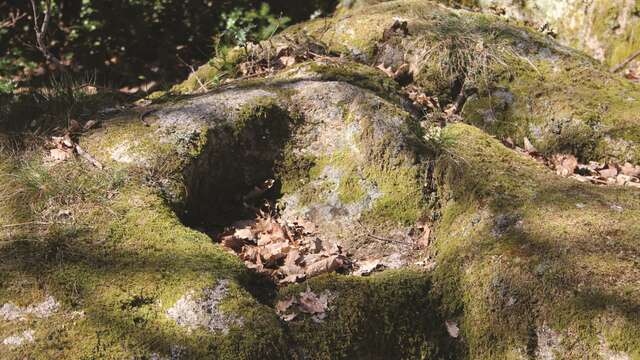 Les Pierres Saint Martin