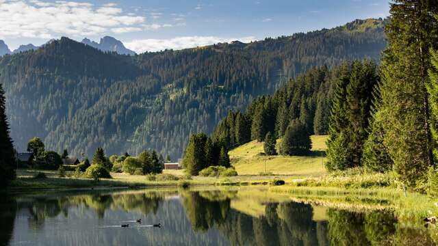 Morgins - Lac - Les Têtes - Le Corbeau - Morgins