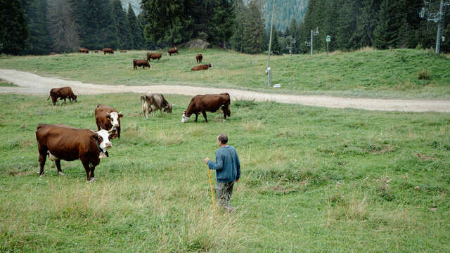 Ferme du Féto