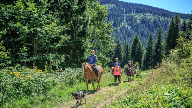 Summer horse camps