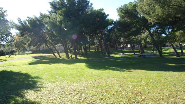 Park of the Romaniquette