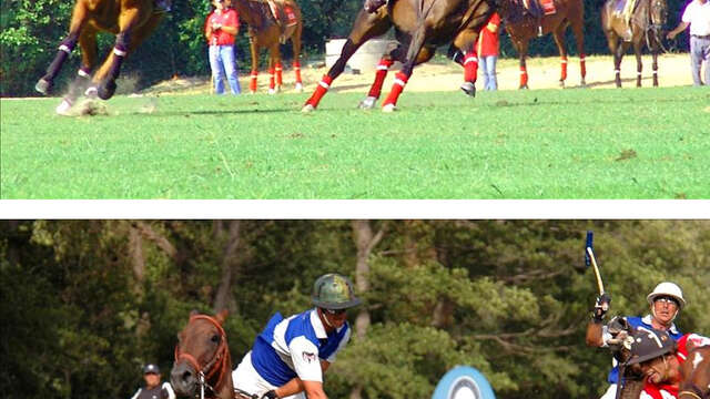 Polo tournament - Côte d'Azur cup