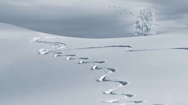 Leçons privées Ski / Hors pistes avec l'école de ski Adrenaline