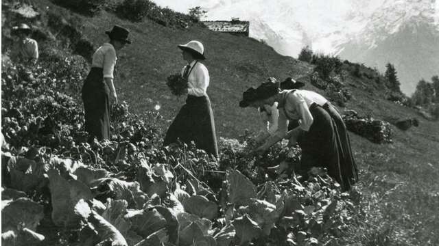 Atelier : Potager de papier