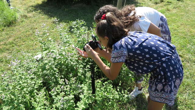Initiation à la photo macro au Jardin Extraordinaire