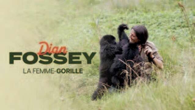 Película | Debate - Dian Fossey, la mujer gorila