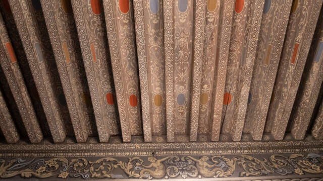 Visite thématique - Une visite qui crève le plafond