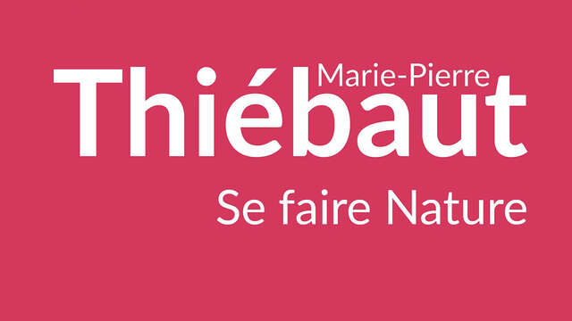 Ausstellung im Museum Estrine: Marie-Pierre Thiébaut