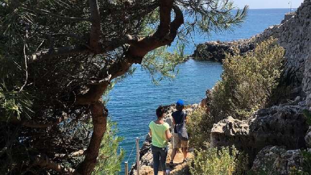 S'émerveiller devant les beautés naturelles du Cap d'Antibes!